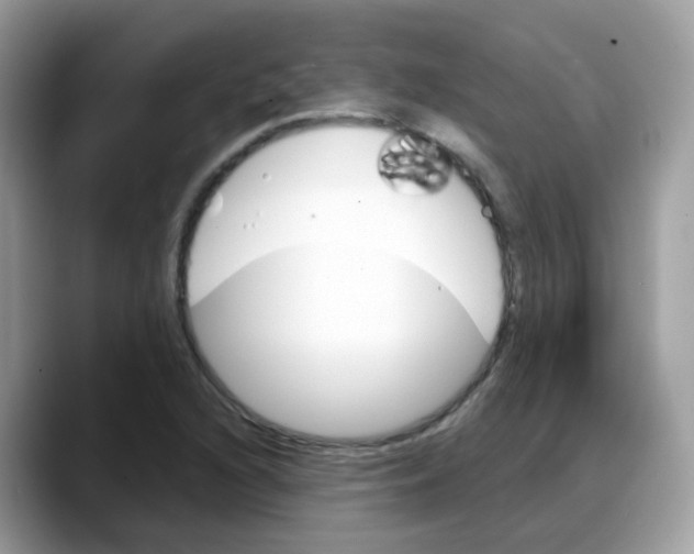 X0000088141216200706111419