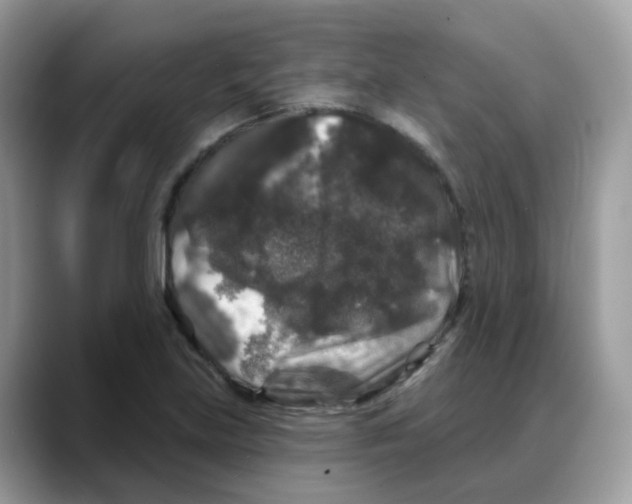 X0000088141219200706111419