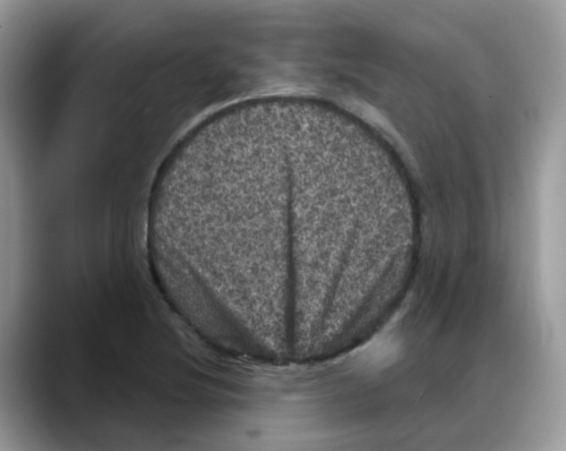 X0000088141220200706111419