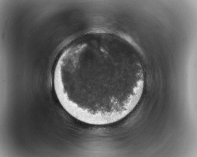 X0000088141221200706111419