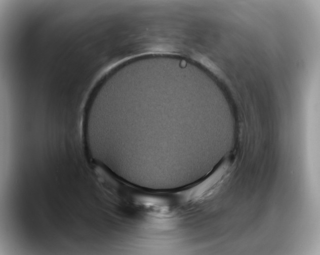 X0000088141222200706111419