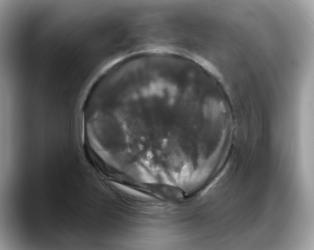 X0000088141223200706111419