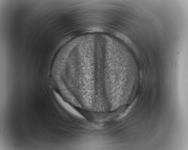 X0000088141225200706111419