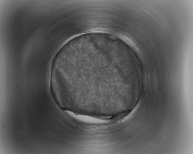 X0000088141228200706111419