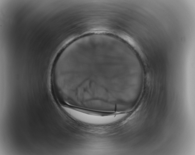 X0000088141229200706111419