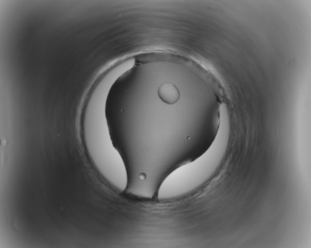 X0000088141230200706111419