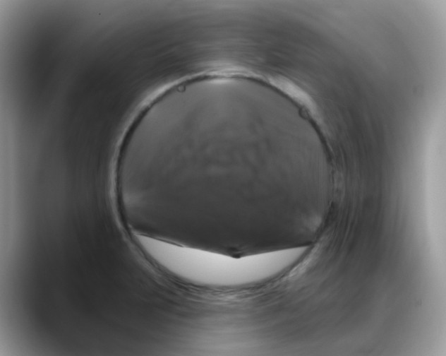 X0000088141231200706111419