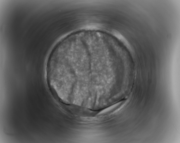 X0000088141232200706111419