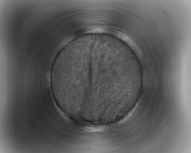 X0000088141233200706111419