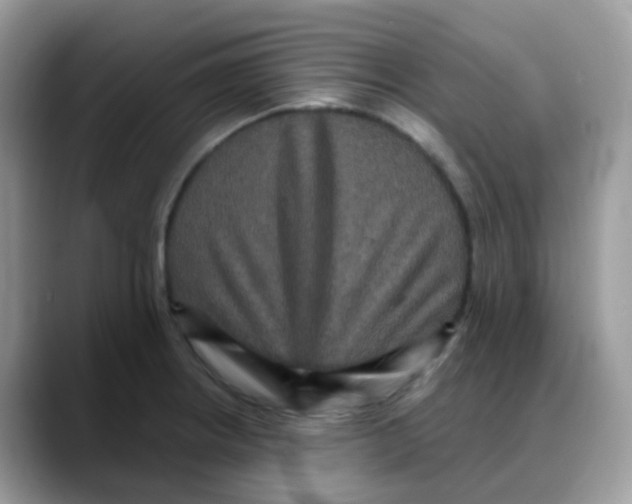 X0000088141234200706111419