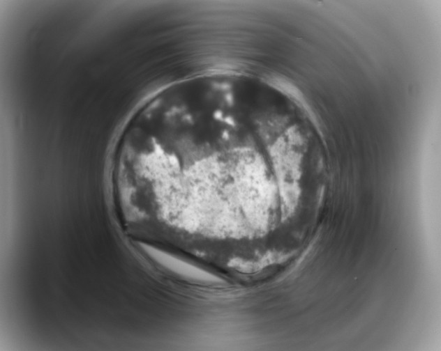 X0000088141235200706111419