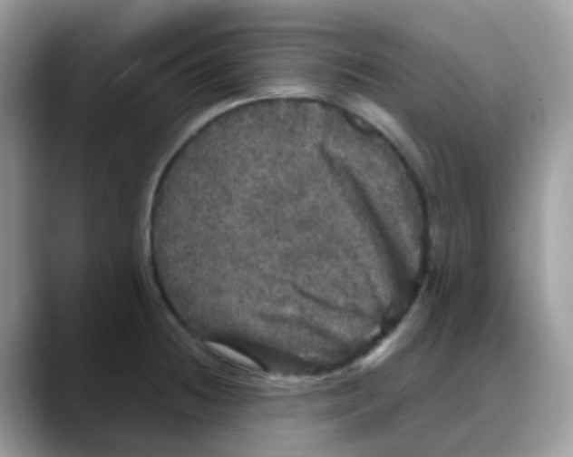 X0000088141236200706111419