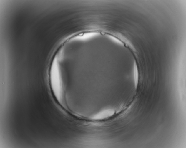 X0000088141239200706111419