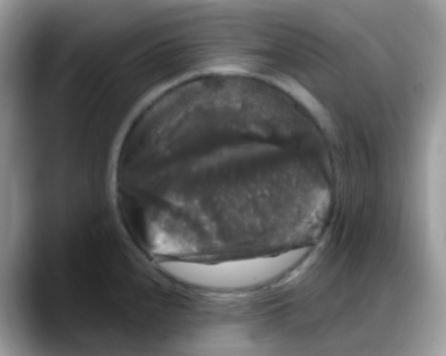 X0000088141240200706111419