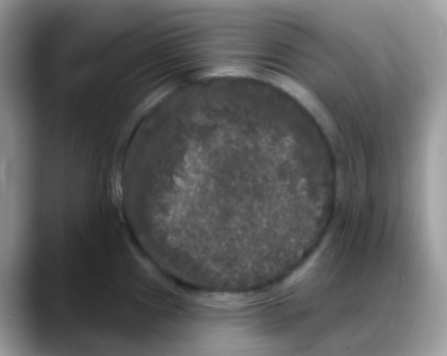 X0000088141241200706111419