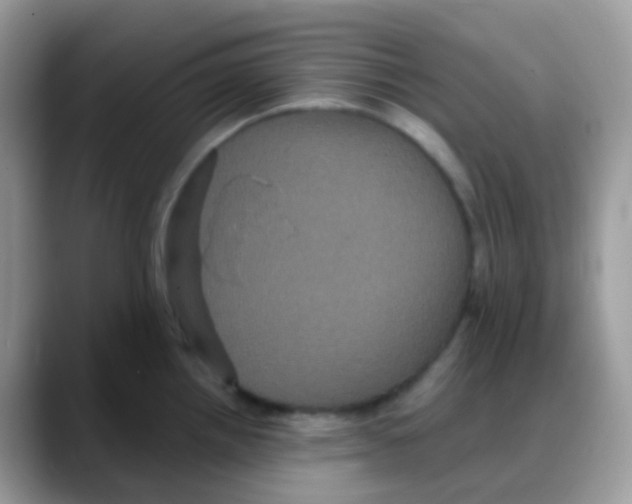 X0000088141242200706111419