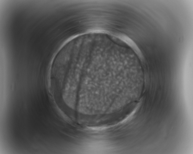 X0000088141244200706111419