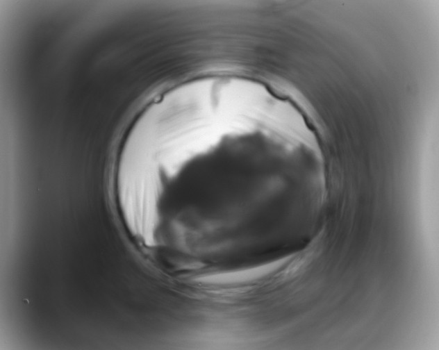 X0000088141245200706111419