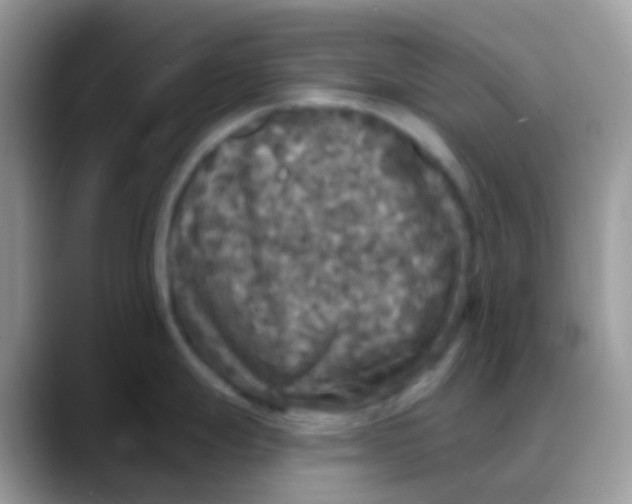 X0000088141247200706111419