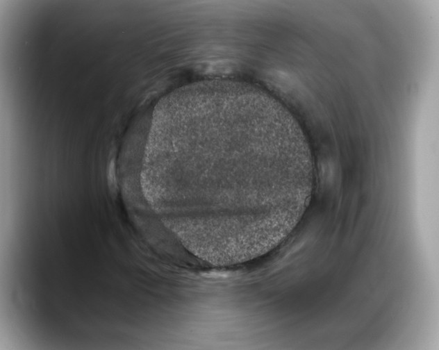 X0000088141250200706111419