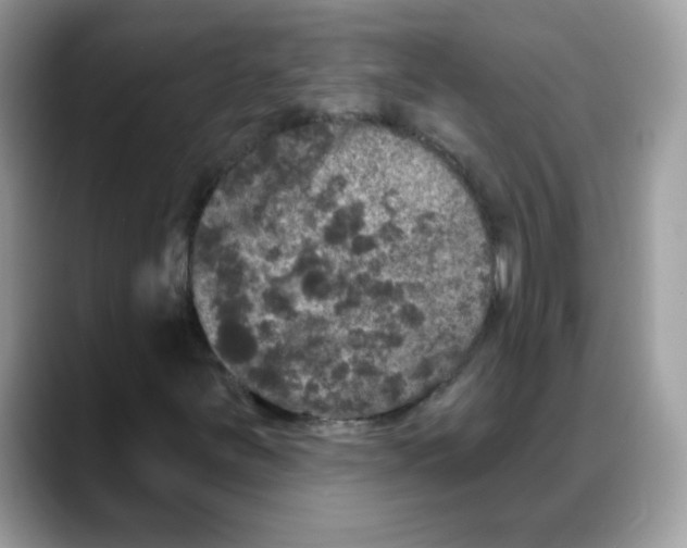 X0000088141251200706111419