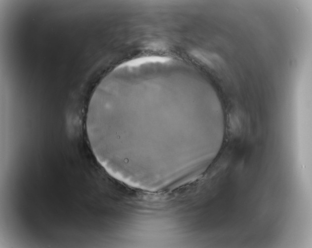 X0000088141254200706111419