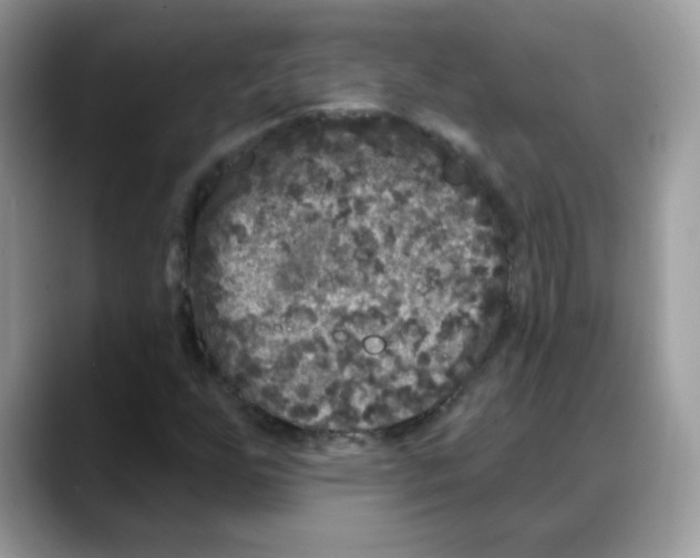 X0000088141255200706111419