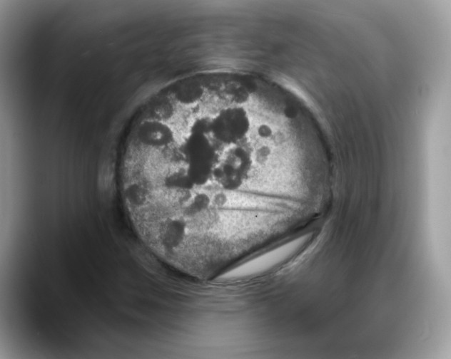 X0000088141259200706111419