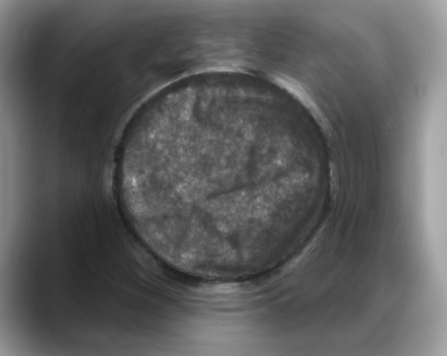 X0000088141260200706111419