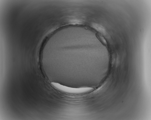 X0000088141261200706111419