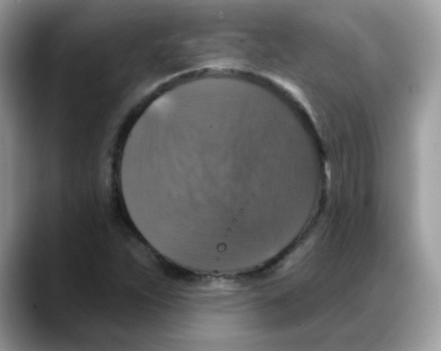 X0000088141263200706111419