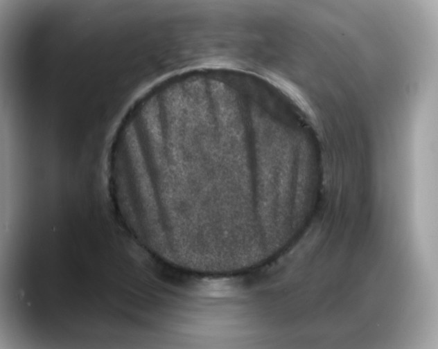 X0000088141264200706111419