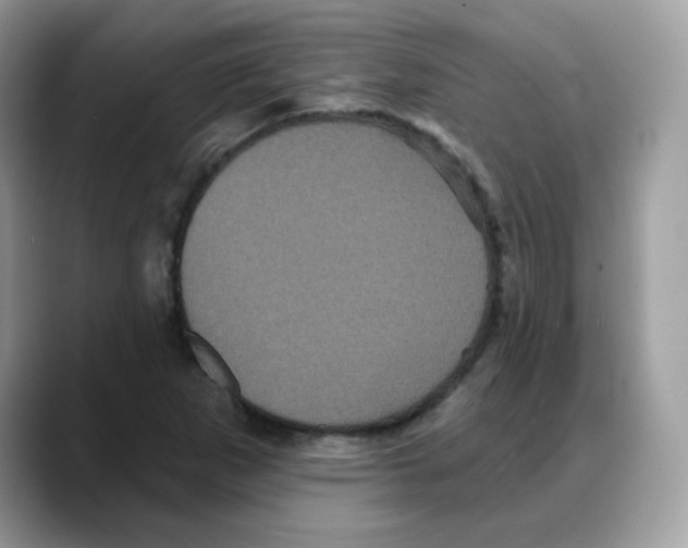 X0000088141265200706111419