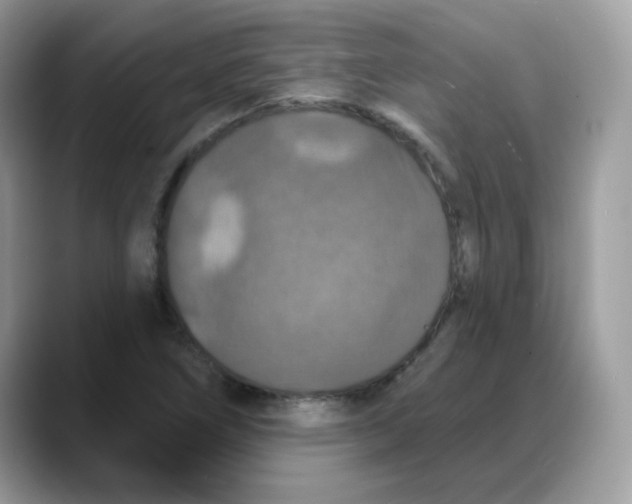 X0000088141266200706111419