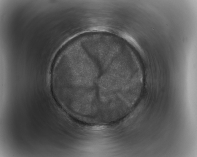 X0000088141268200706111419