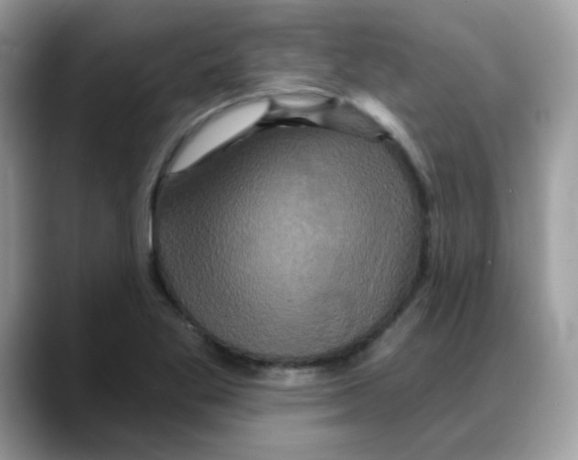 X0000088141269200706111419