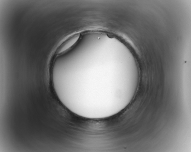 X0000088141270200706111419