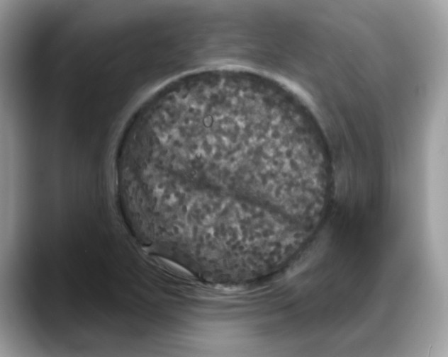 X0000088141271200706111419