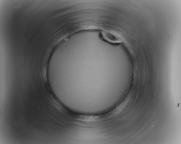 X0000088141273200706111419