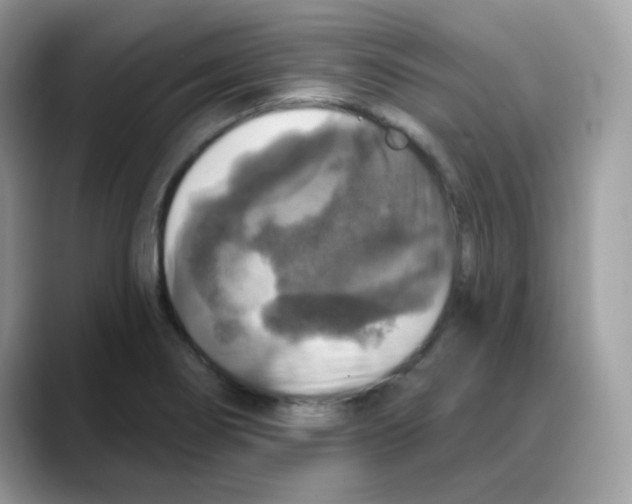 X0000088141274200706111419