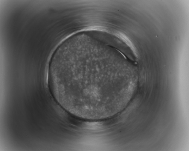 X0000088141276200706111419