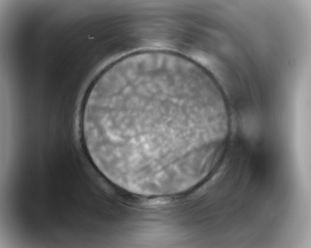 X0000088141278200706111419