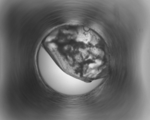 X0000088141283200706111418