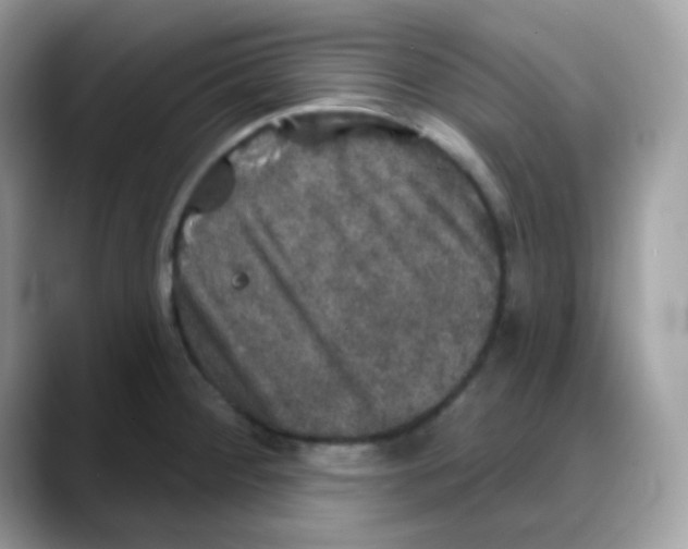 X0000088141284200706111418