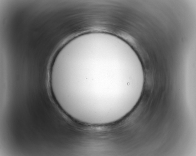 X0000088141286200706111418