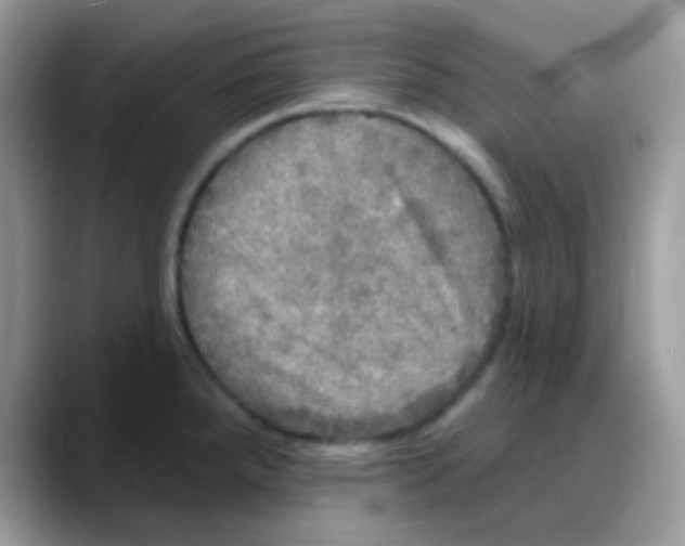 X0000088141288200706111418