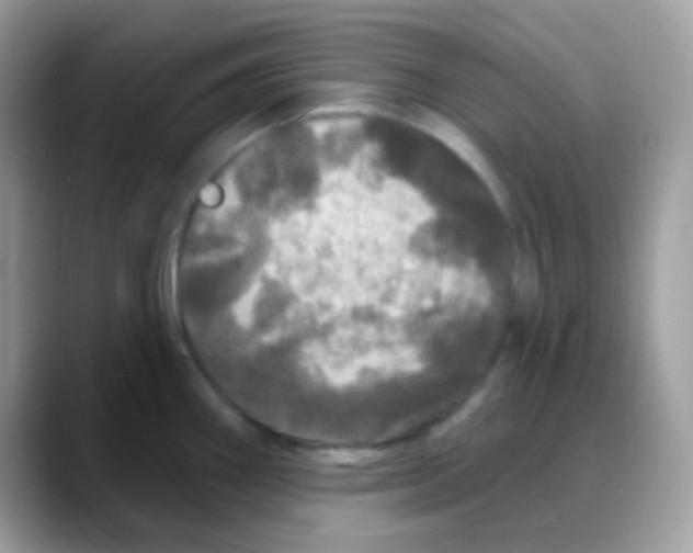 X0000088141290200706111418