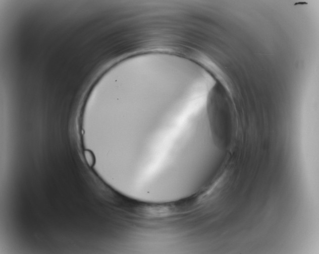 X0000088141291200706111418