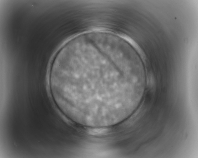 X0000088141294200706111418