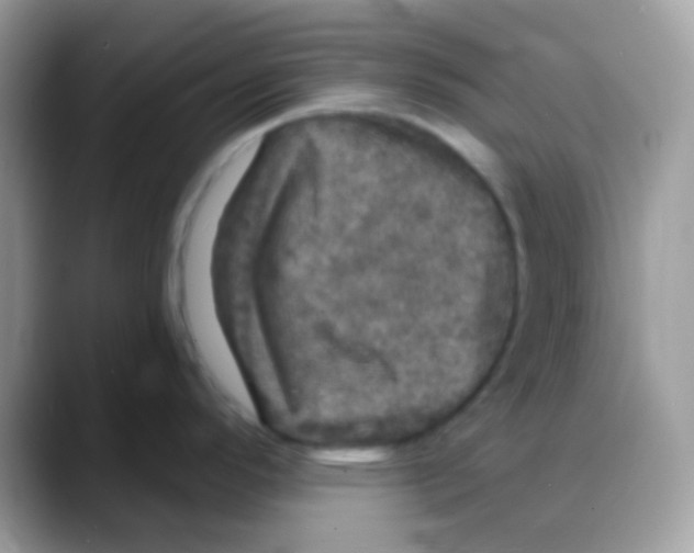 X0000088141296200706111418